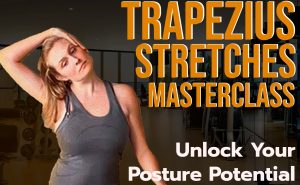 trapezius stretches result